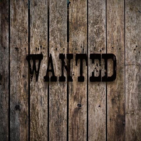 Wanted (feat. soLos)