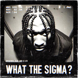 What The Sigma?