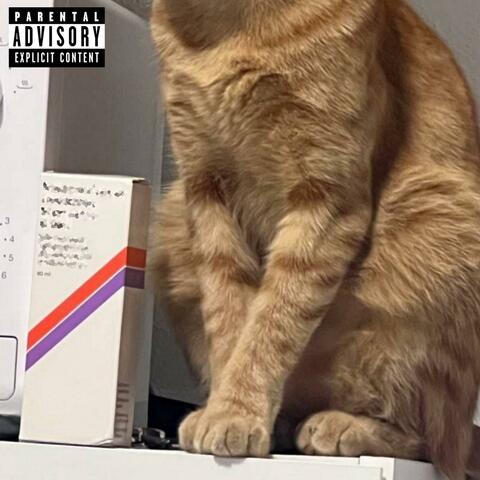 Youngest Bosses (feat. cster)