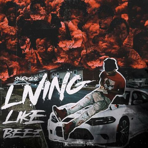 Living Like Beez