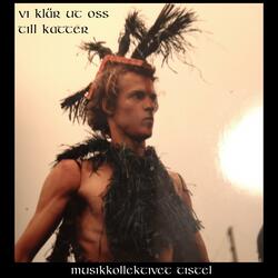 Vi klär ut oss till katter
