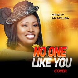 No One Like You