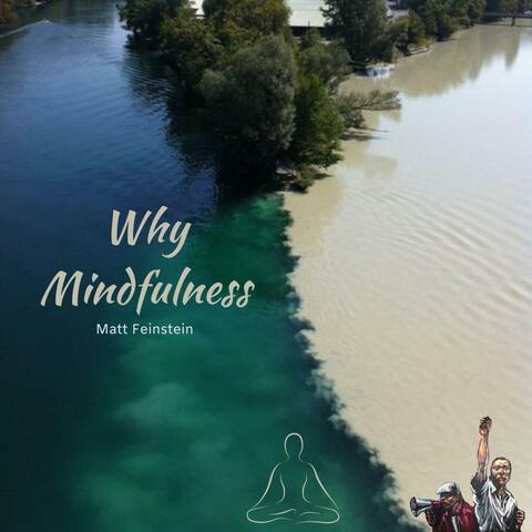 Why Mindfulness