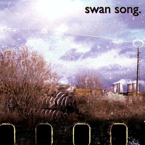 Swan song