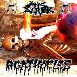 Pus Sliver Intro