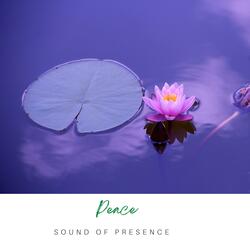 Peace