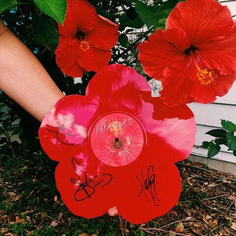 #Hibiscus