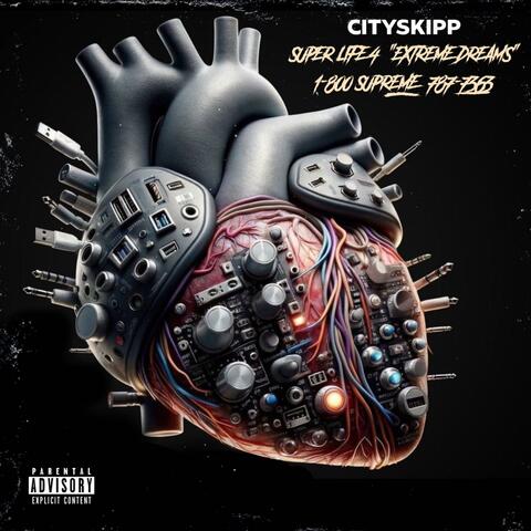 City Skipp