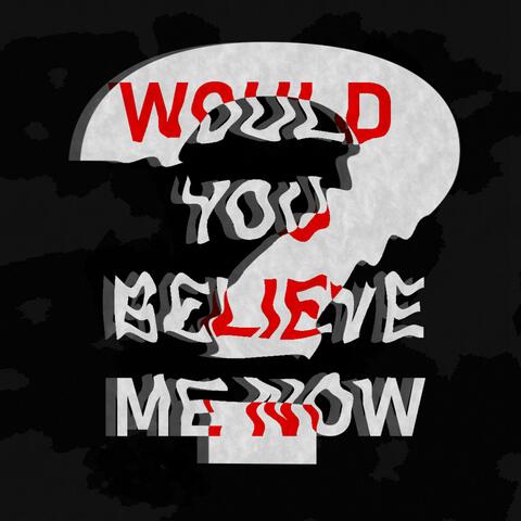 Would You Believe Me Now?