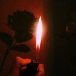 Roses on Fire (Instrumental)