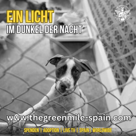 Ein Licht im Dunkel der Nacht