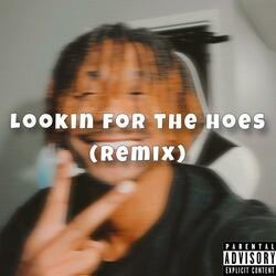 Lookin For the Hoes