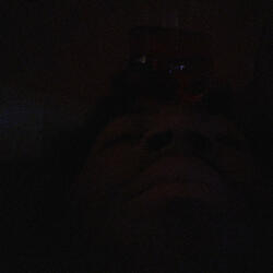 Whoop (feat. Zeltrum & NeroThrusted)