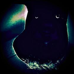 GOD $eNT ME