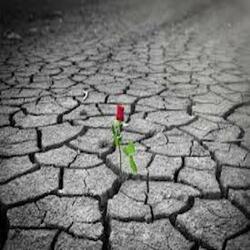 Beauty In The Struggle