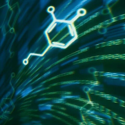 Binary Drug (Lion Mix) (Dandelion Springs Remix)