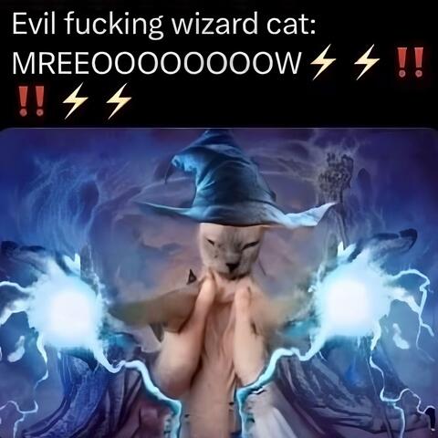 evil fucking wizard cat