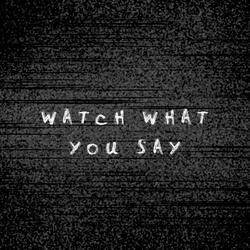 Watch What You Say