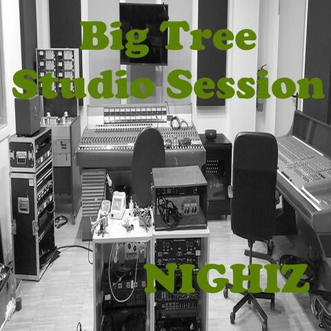 Big Tree Live Session