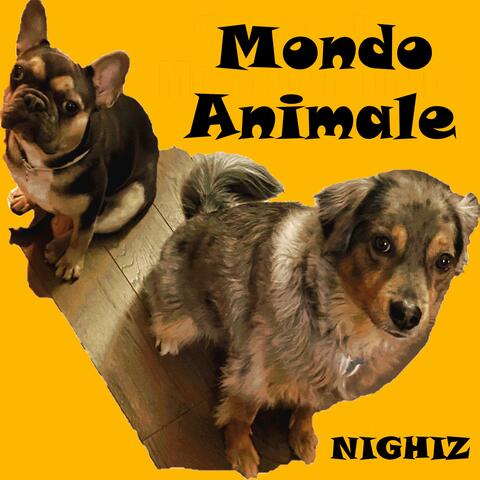 Mondo Animale