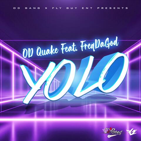 Yolo (feat. FreqDaGod) [Radio Edit]