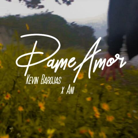 Dame Amor (feat. ANI)