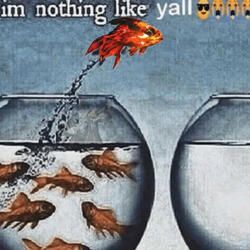 nothing like yall (feat. strvwberry)