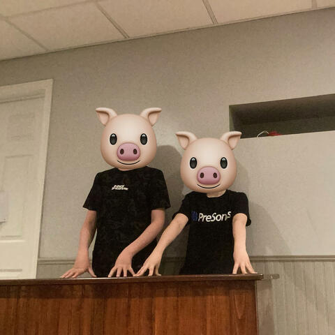 studio pig