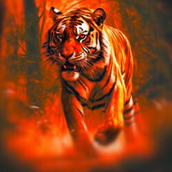 The Eye of the Tiger (feat. Kool G Rap)