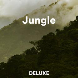 Jungle