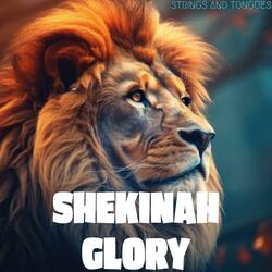 Shekinah Glory