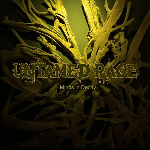 Minds in Decay