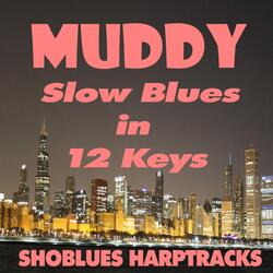 Key of E Muddy Slow Blues