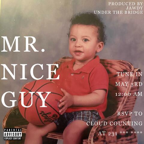 Mr. Nice Guy
