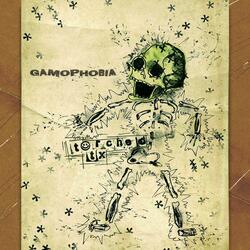 Gamophobia