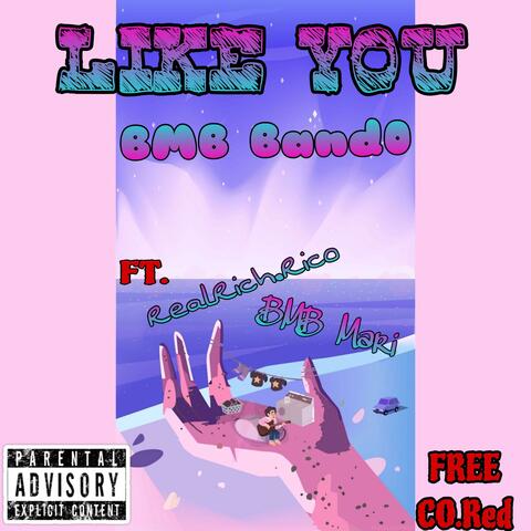 Like You (feat. Bmb Mari & RealRich.Rico)