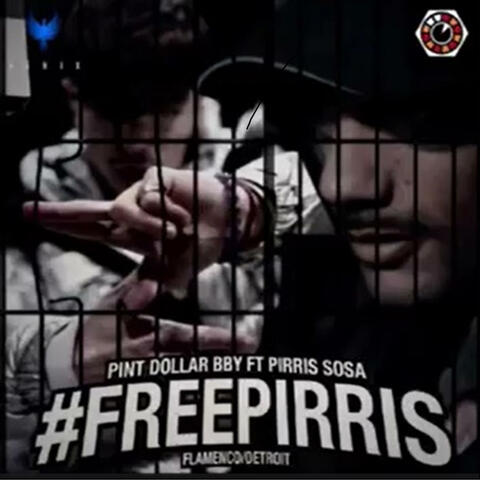 FREEPIRRIS FLAMENCO/DETROIT