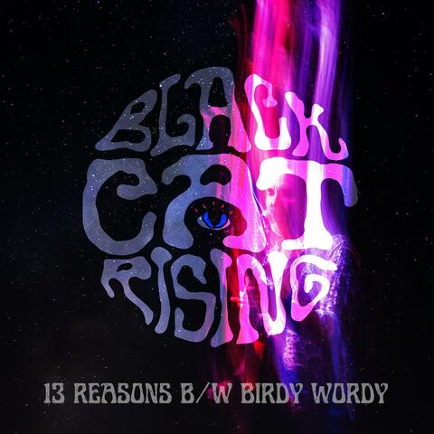 13 Reasons/Birdy Wordy