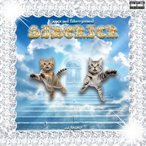 sidekick! (feat. fakerr)