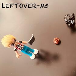 LEFTOVER