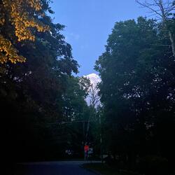 the ones who hurt and the ones who heal