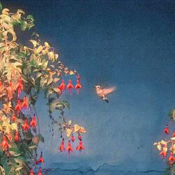 Barcelona (Acapella)