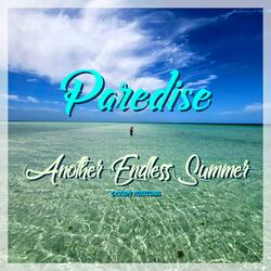 Another Endless Summer