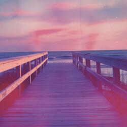 Back On The Cape