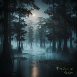 The Swamp Knows