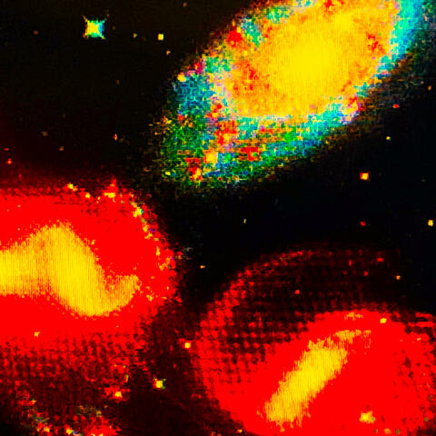 Groovin' In Space