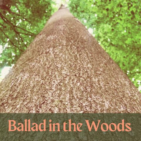 Ballad in the Woods