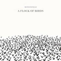 A Flock Of Birds part two