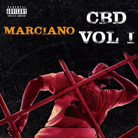CBD VOL ONE