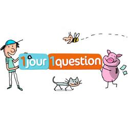 1 Jour 1 Question (Générique TV)
